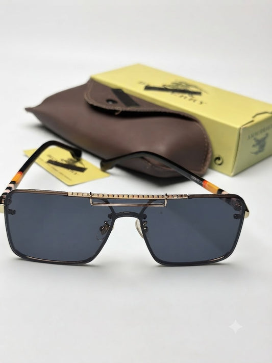 BurB*rry Luxury Glasses M2